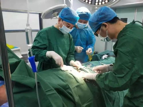 聚焦医学前沿，屡现佳绩，在突破中砥砺奋进——医学影像科发展纪实